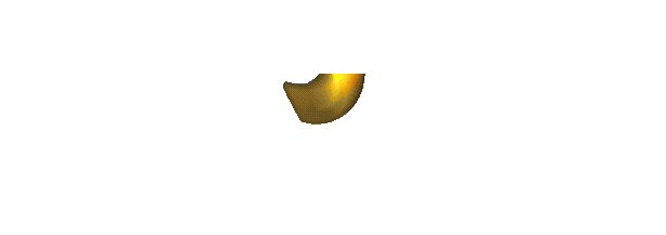 KOKOGACOR77